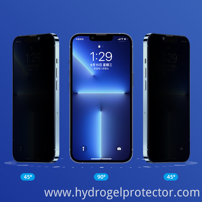 Privacy Hydrogel Film